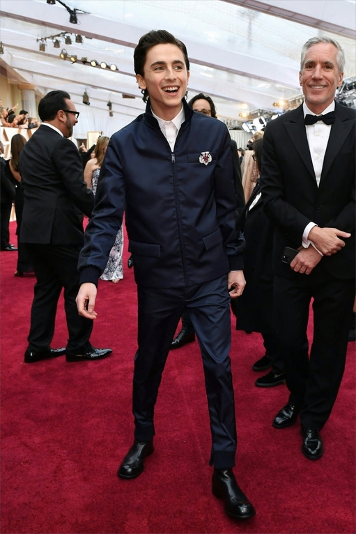 Oscars 2020: Timothée Chalamet Wears Prada